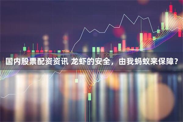 国内股票配资资讯 龙虾的安全，由我蚂蚁来保障？