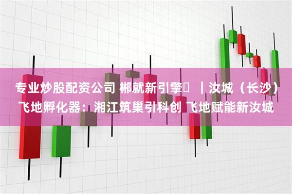 专业炒股配资公司 郴就新引擎⑬｜汝城（长沙）飞地孵化器：湘江筑巢引科创 飞地赋能新汝城